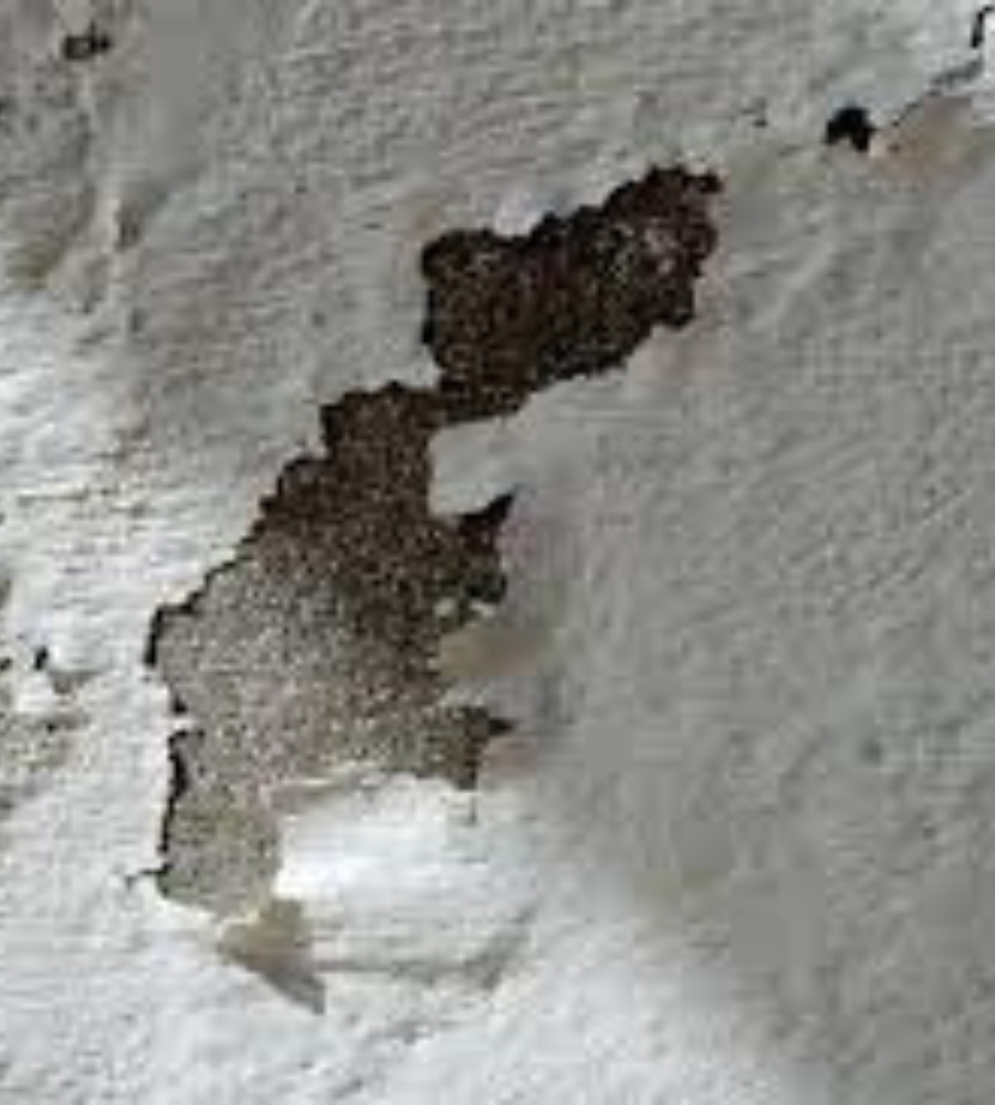 Untitled design (99) Untitled design (99)